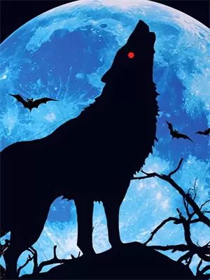 第二章全部任务