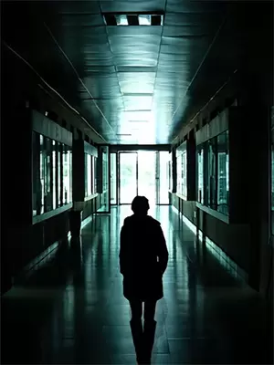 野糖网怎么样