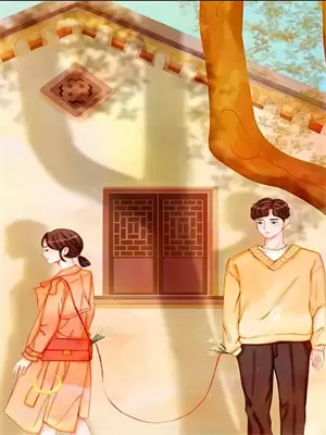 顶流夫妇离婚