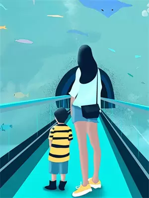 缅北电诈往事动画