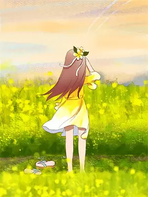 贺绵绵小说