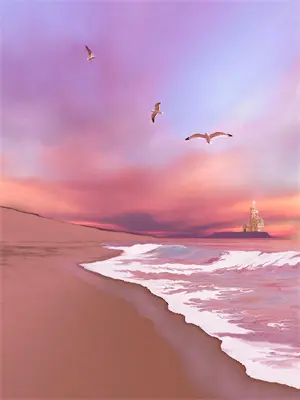 天  衍