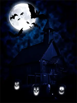 权总夫人的前任们来抢人了免费阅读